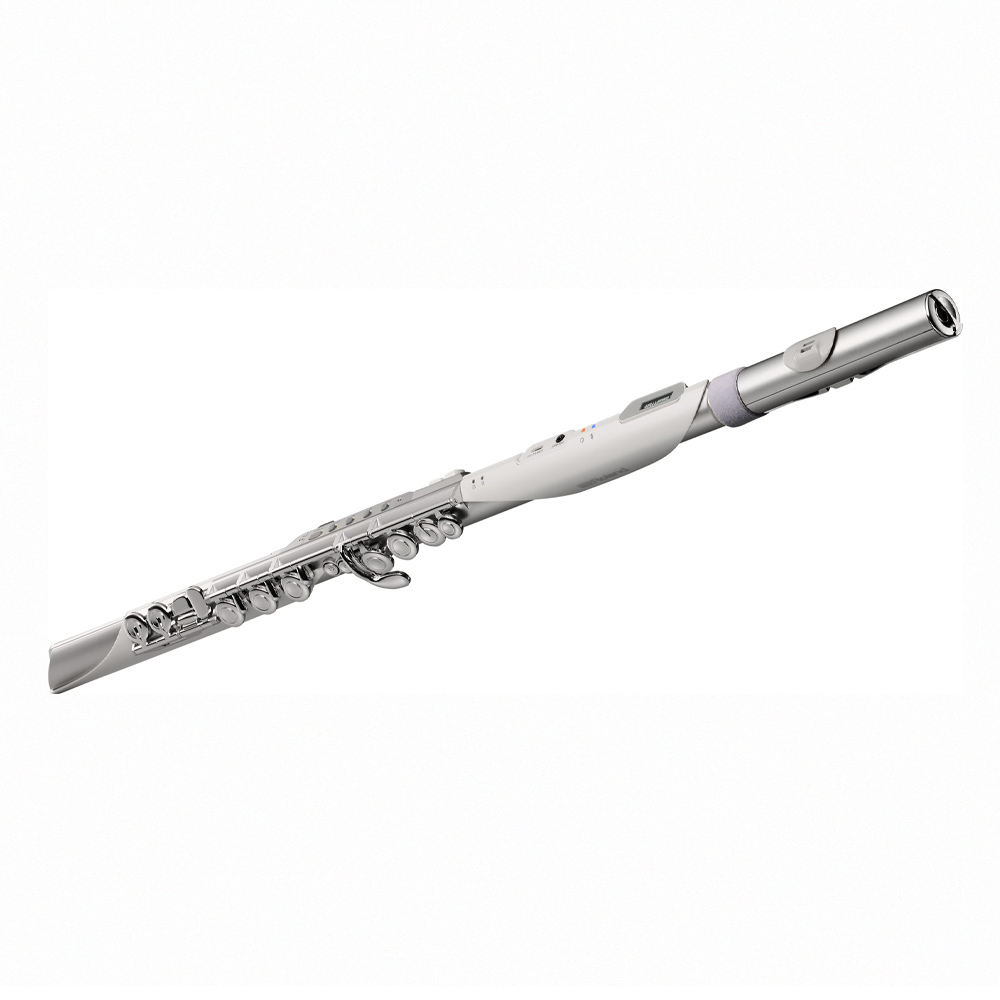 Roland Aerophone AE-Brisa, , large