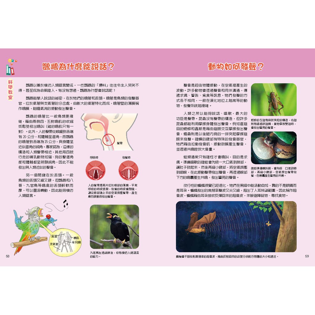 [小牛頓]漫畫成語百科(共14冊) 適合6-12歲 平裝全彩 漫畫語文科普書, , large