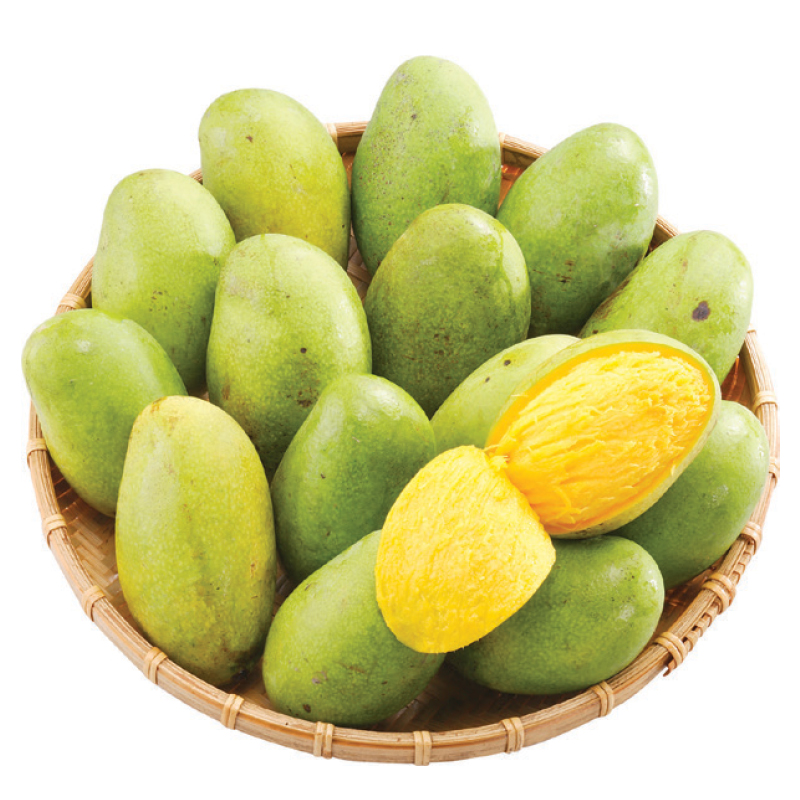 Mountain Mango, , large