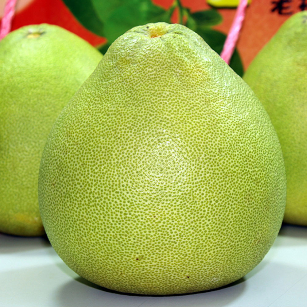 【一等鮮】麻豆文旦禮盒1盒〈9~12粒/10斤/盒〉(免運費), , large