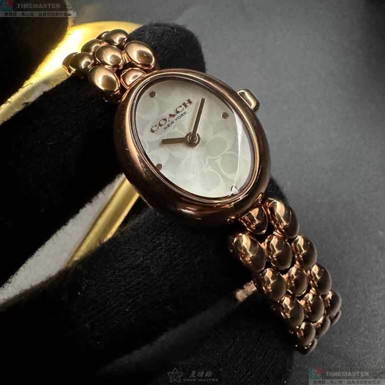 [TIMEMASTER] COACH watch, 22mm28mm, CH00267, , large