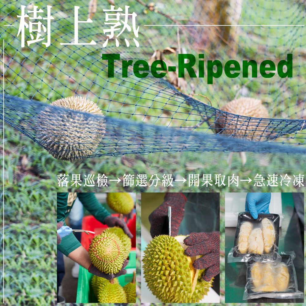 ★真的貓山王!!!★【D.MASKING榴槤大哥】全台唯一馬來西亞官方認證&rarr;勞勿冷凍貓山王榴槤 400g_1盒, , large