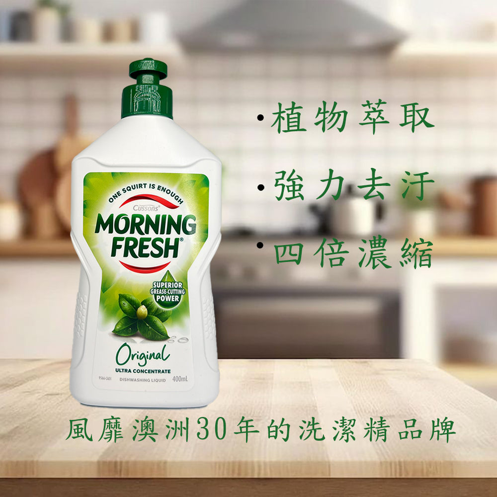 Morning Fresh Dishwashing Liquid Original