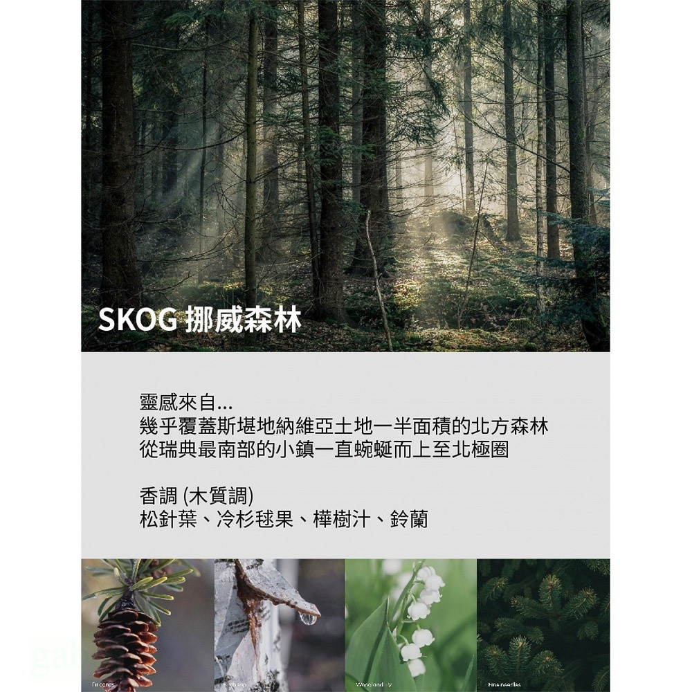 Skandinavisk SKOG 挪威森林 護手霜 75ml, , large