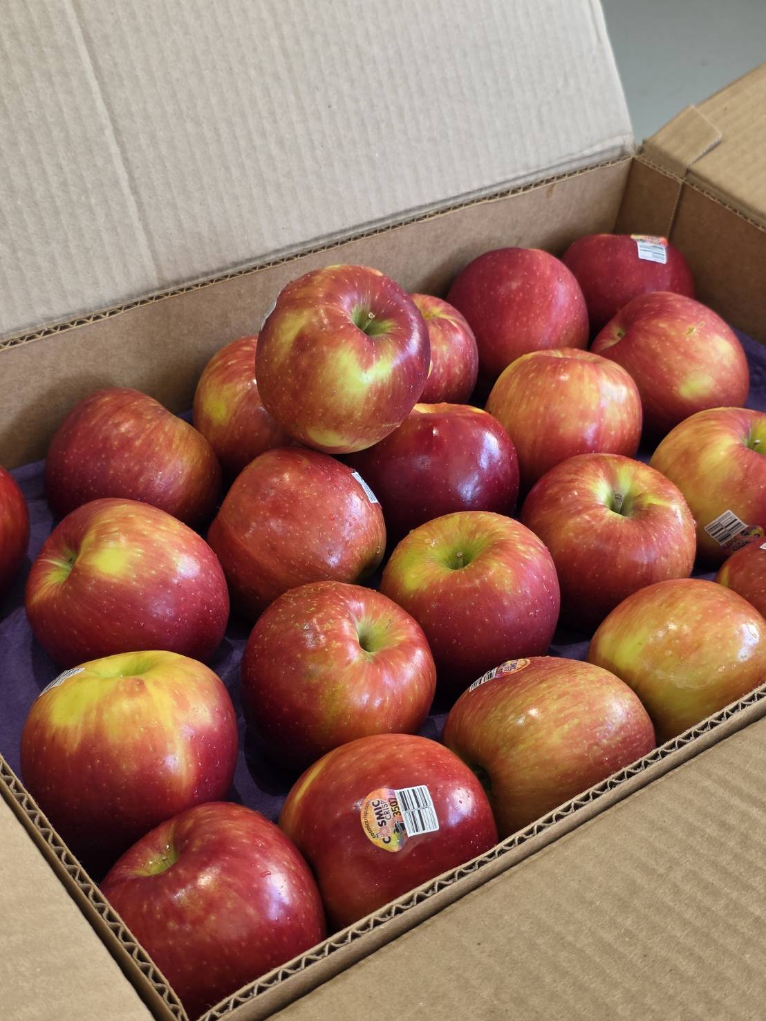 [芯鮮果]紐西蘭進口( 蜜富士蘋果 ), , large