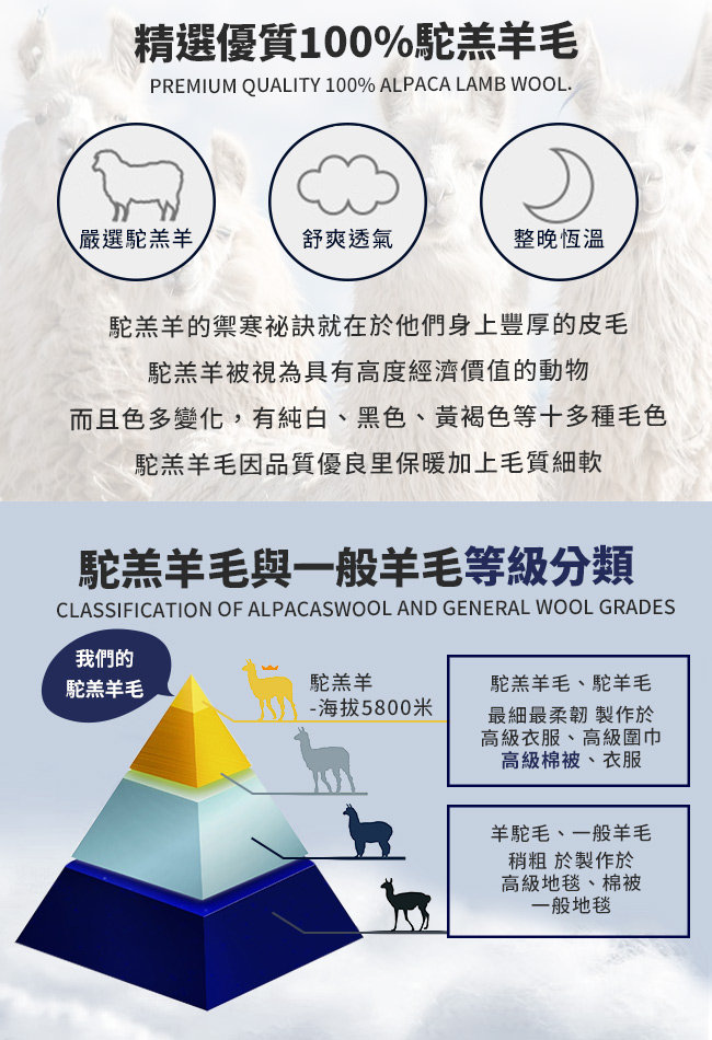 【Hilton 希爾頓】100%頂級金標駝羔羊被2.5公斤, , large