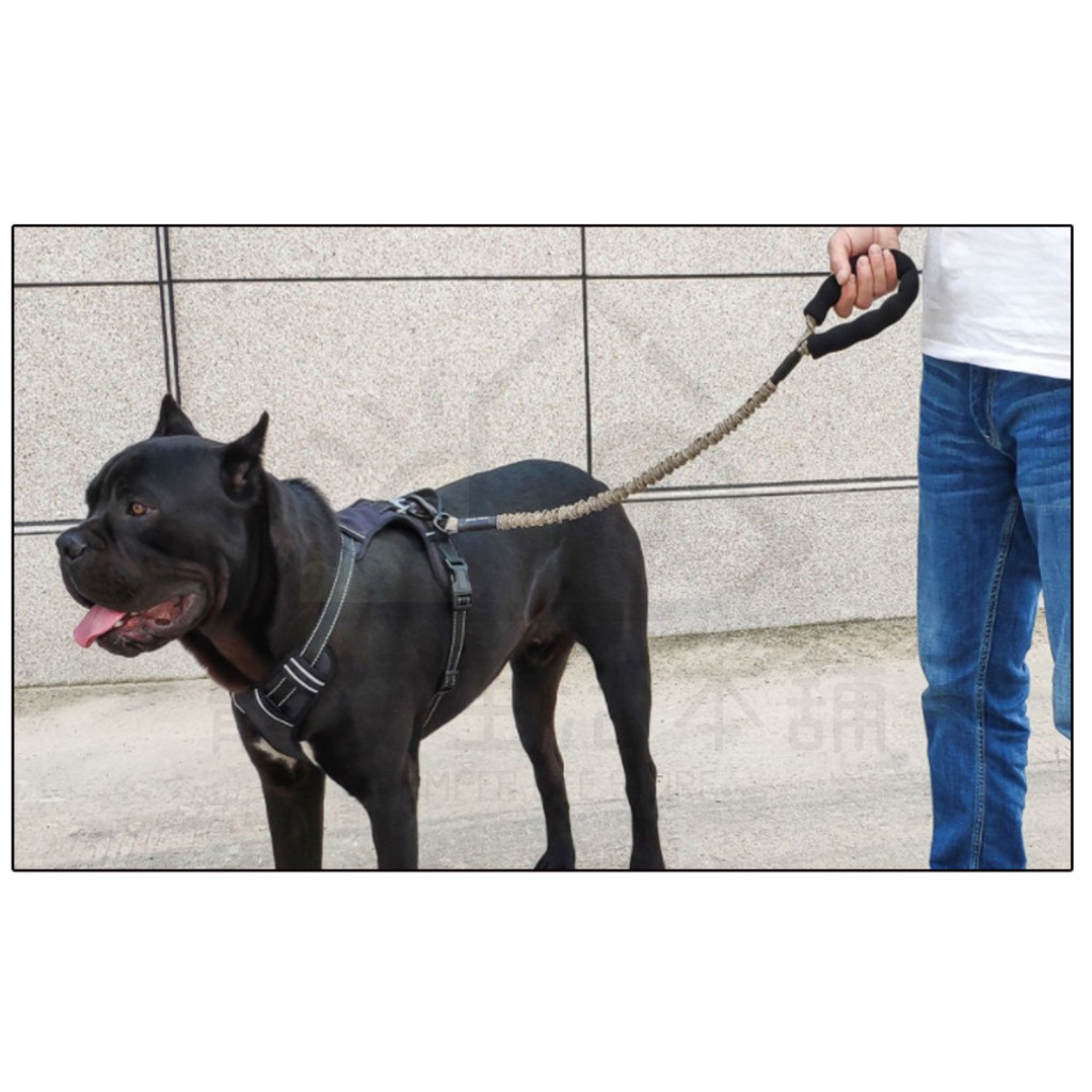 【寵愛生活本舖】防爆衝彈力牽引繩（75cm/120cm）大狗牽繩 寵物牽繩, , large