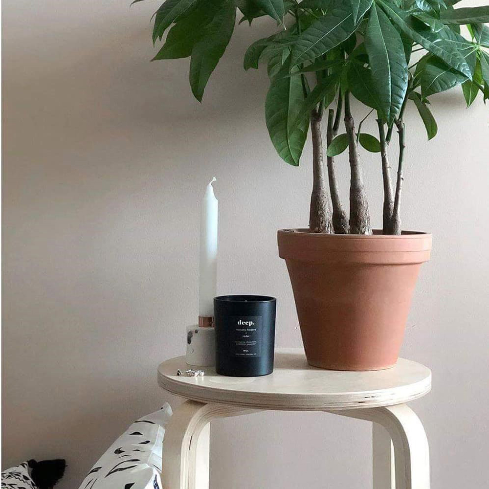 【英國 wxy】經典黑蠟燭/3種香味可選, , large