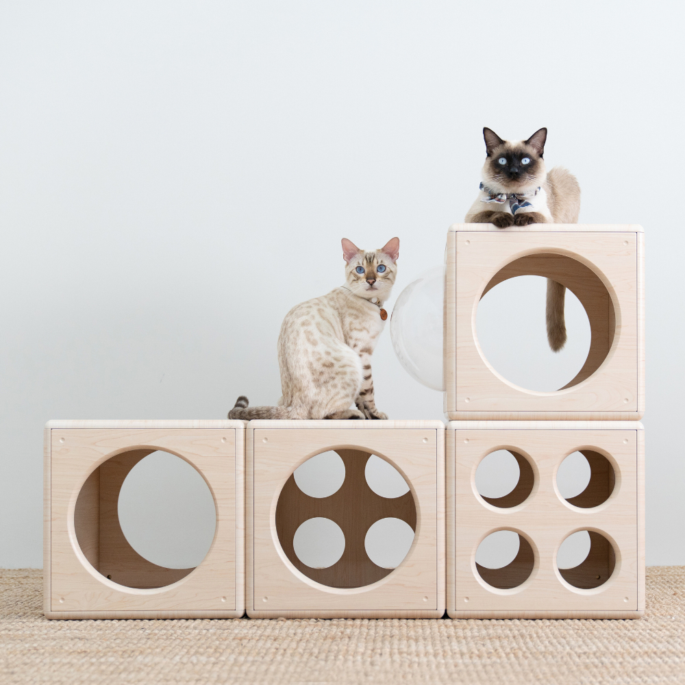 【paipaipets】Wooden Cube - Style S, , large