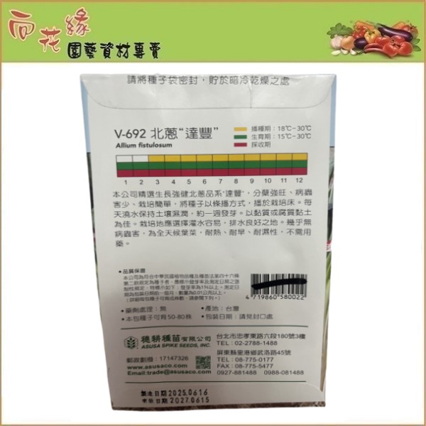 Skystar Bunch Onion &ndash; Vegetable Seeds, , large