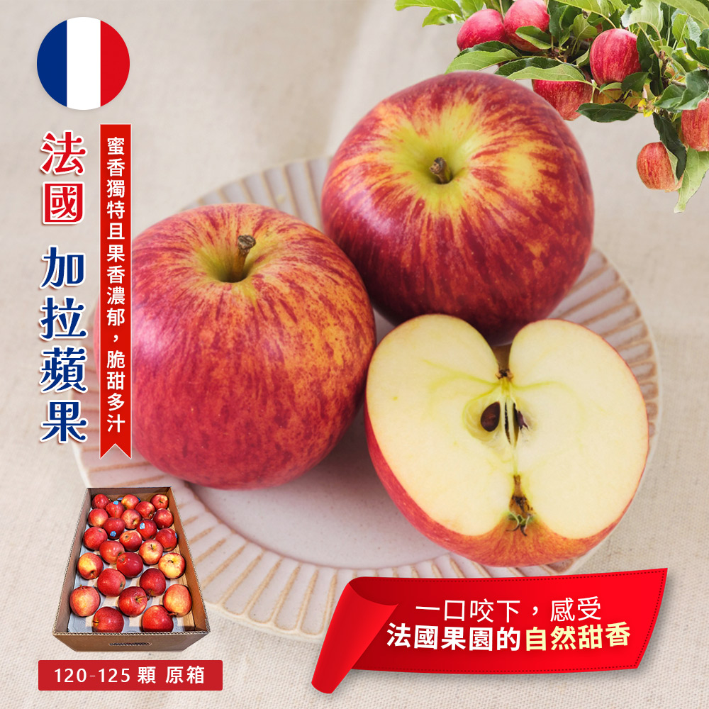 GALA APPLE, , large