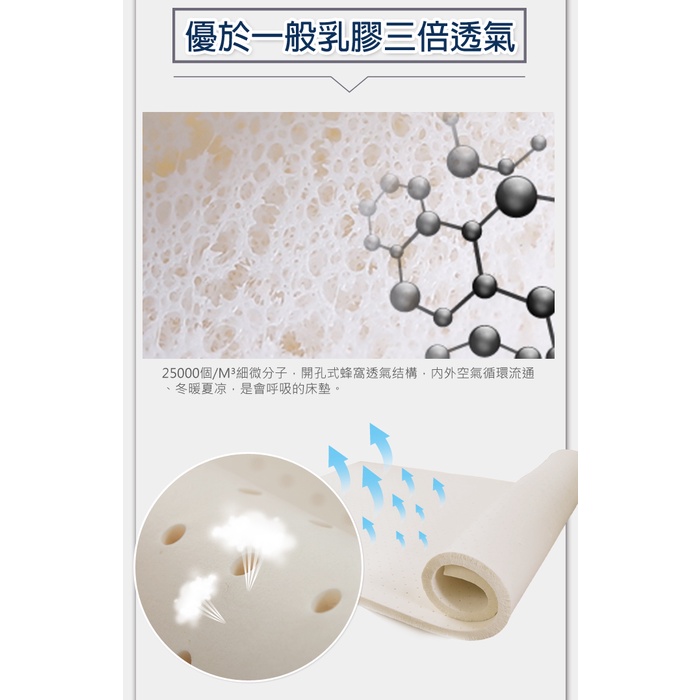 【日本藤田】100%天然乳膠床墊8CM 折疊床墊 學生床墊 乳膠墊 摺疊床墊 泰國乳膠, , large