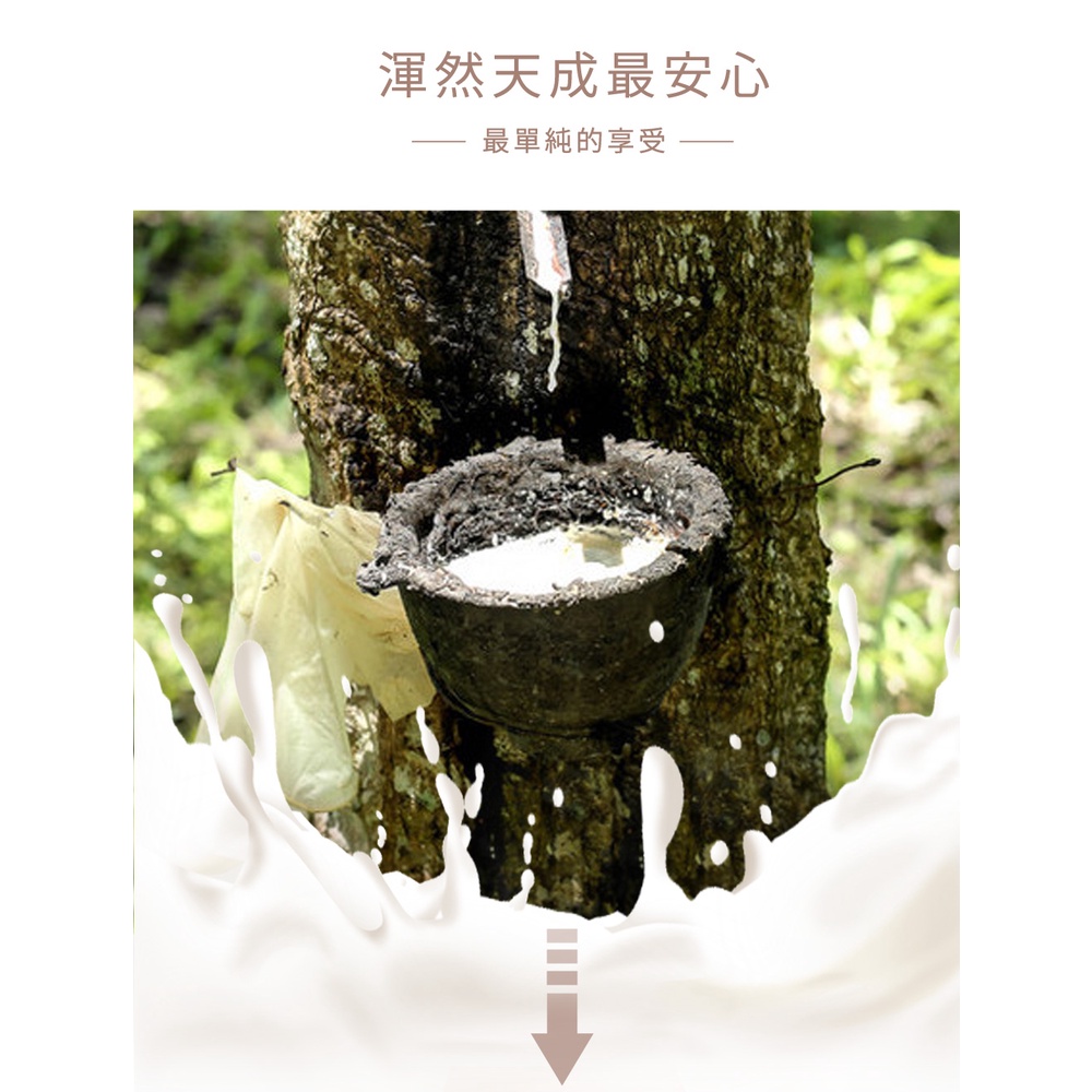 【格藍傢飾】諾菈舒適乳膠坐墊 座墊 辦公室開學, , large