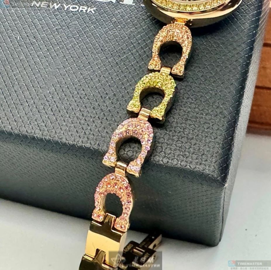 [TIMEMASTER] COACH watch, 24mm, CH00186, , large