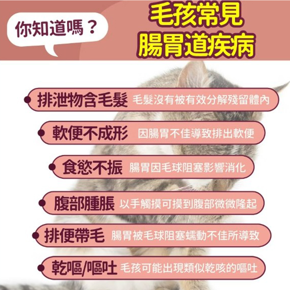 【毛孩時代】化毛專科益生菌 貓狗保健食品/排毛益生菌/排毛粉/化毛粉(2盒/60入), , large