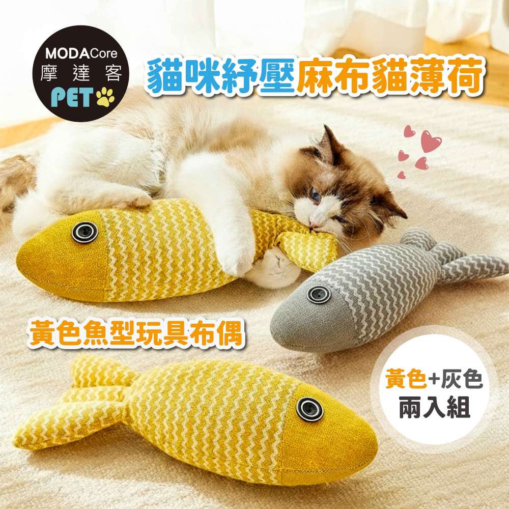 cat toy