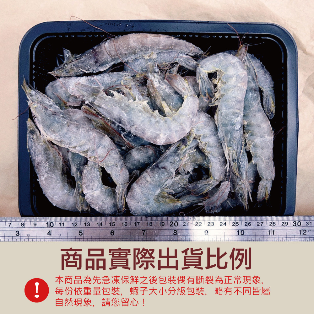 Live-Frozen Whiteleg Shrimp, , large