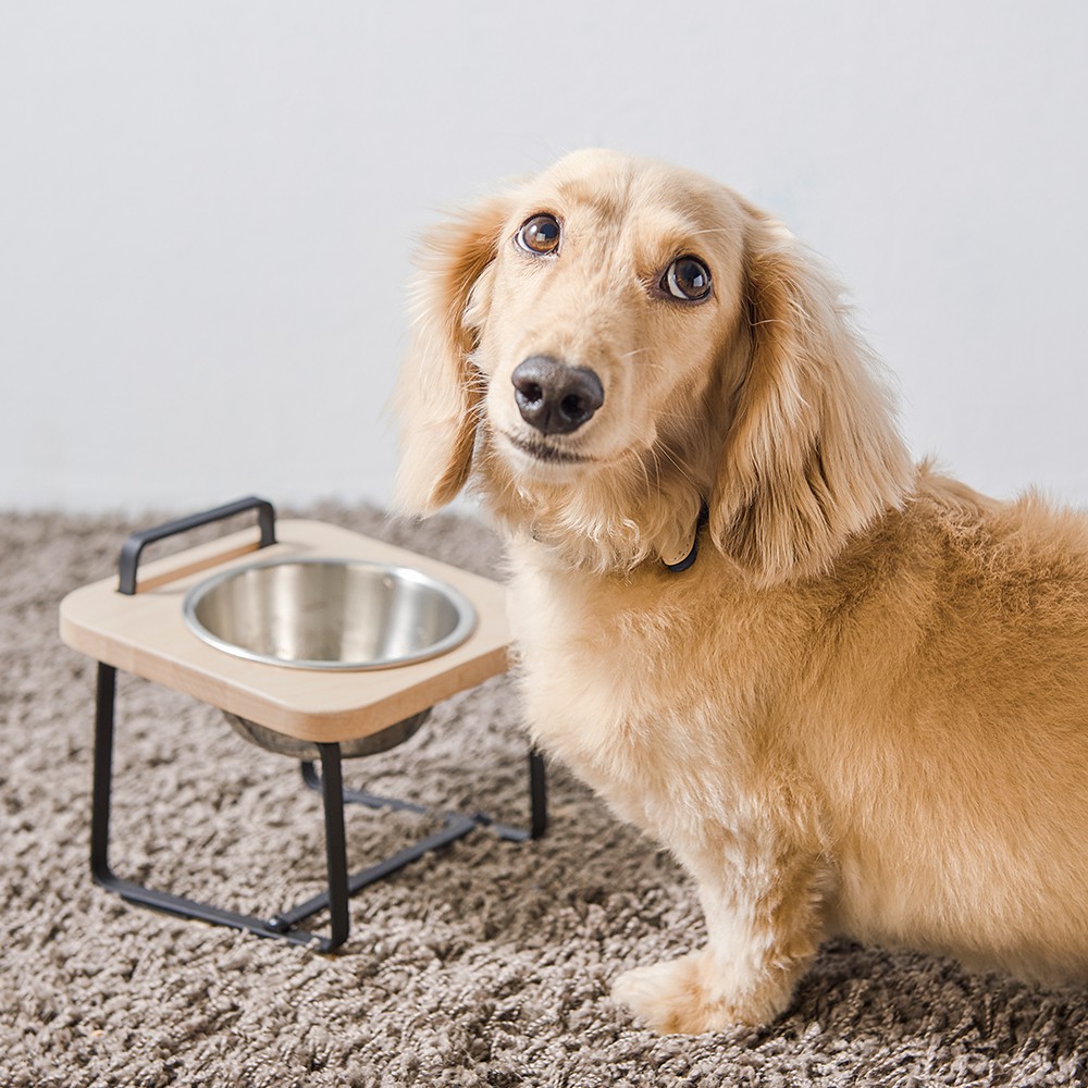 【paipaipets】 Natural Wood Elevated Pet Bowl - XS/Maple