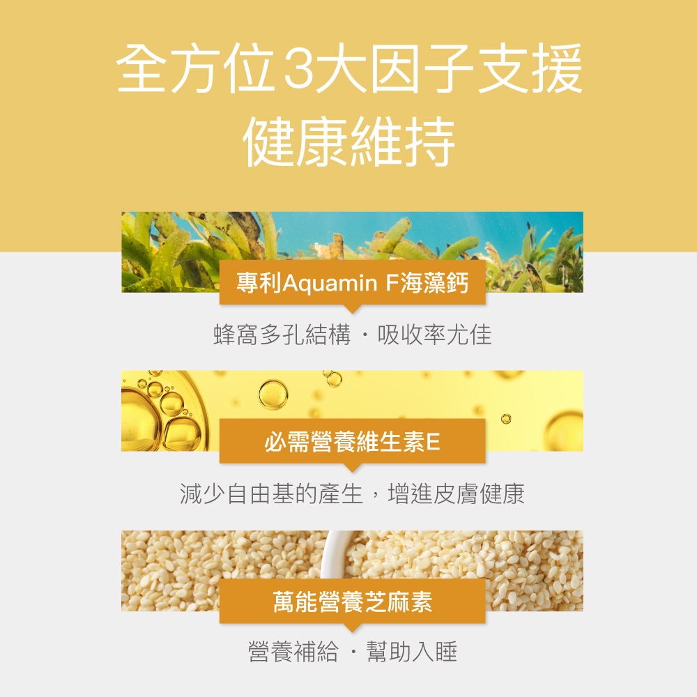 【FJ豐傑生醫】神經醯胺+專利蜂王乳30顆/袋-幫助熟齡調整體質，專利蜂王乳萃取+天然神經醯胺。養顏美容x青春美麗, , large