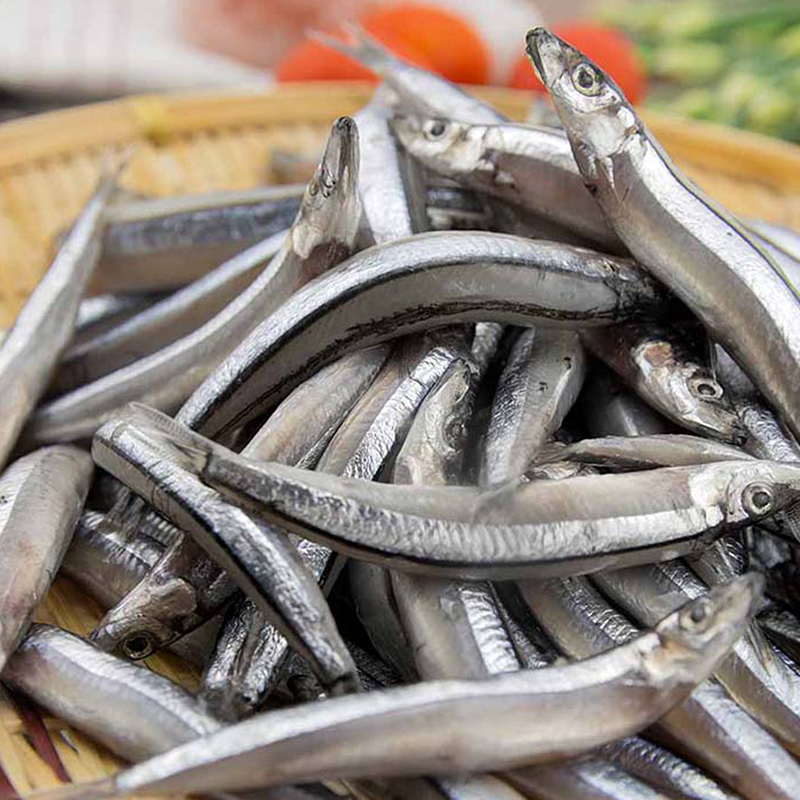 【17Buy】Anchovy, , large