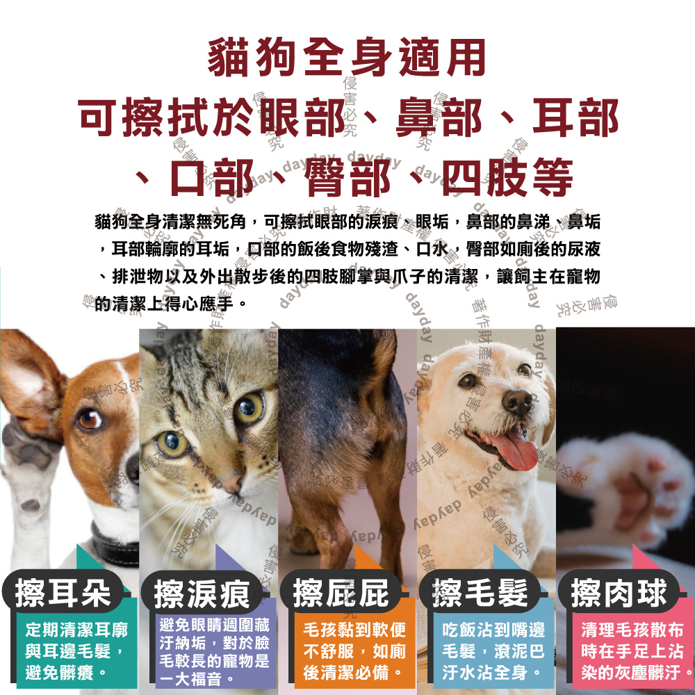 KOJIMA Pet Wet tissue 100pcs Red, , large