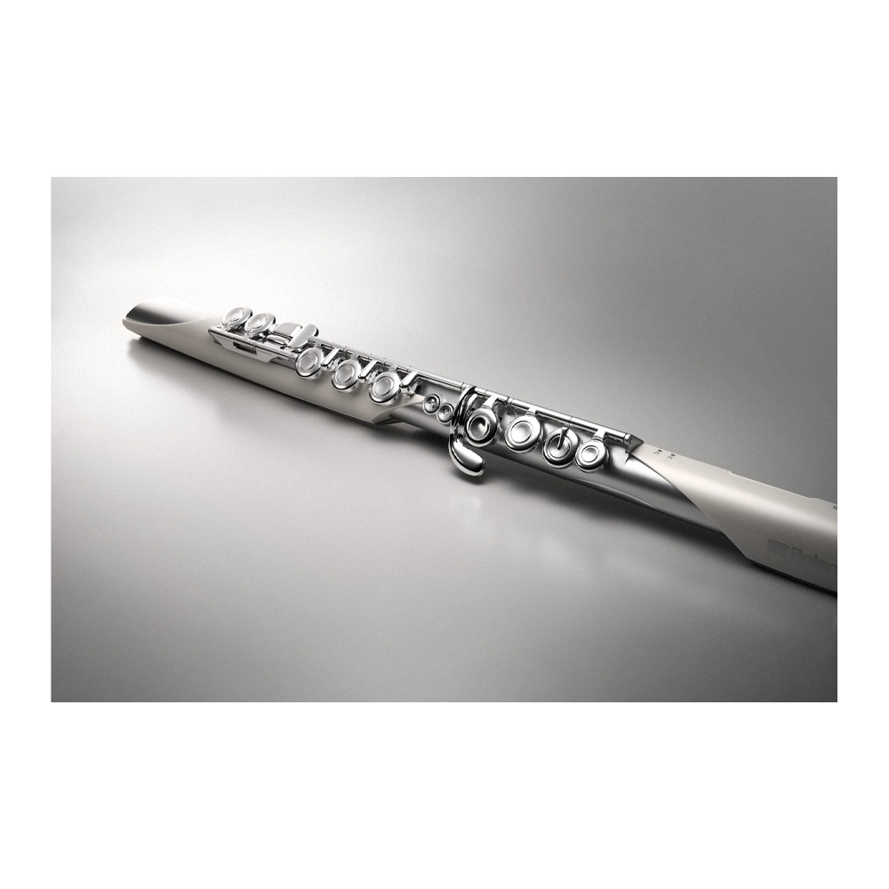 Roland Aerophone AE-Brisa, , large