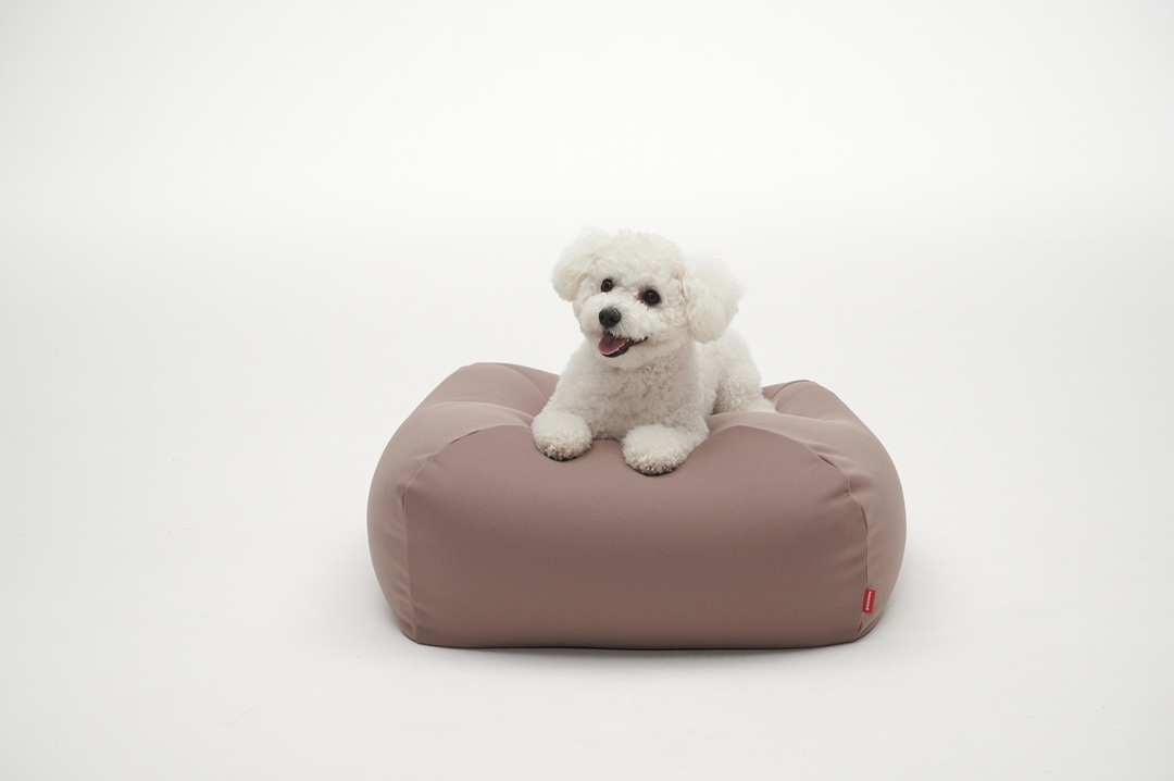 Bean bag for pet, , large