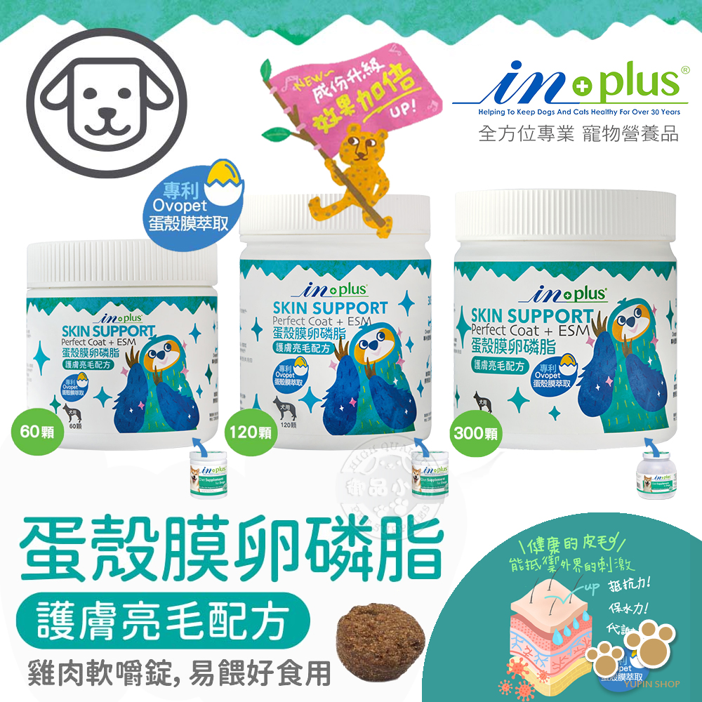 IN-Plus