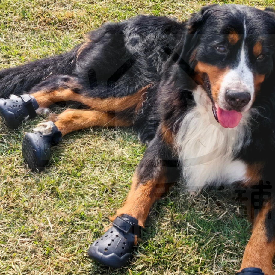 【寵愛生活本舖】寵物馬卡龍夏季洞洞鞋 狗涼鞋 狗鞋, , large
