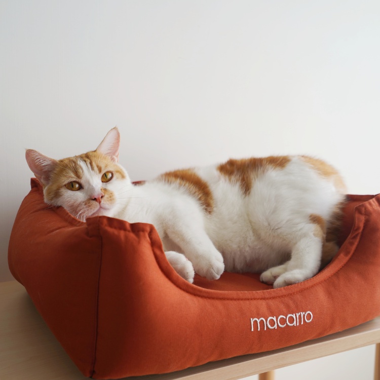 【paipaipets】Latex Pet Bed with cotton sheets - Maple Orange 
