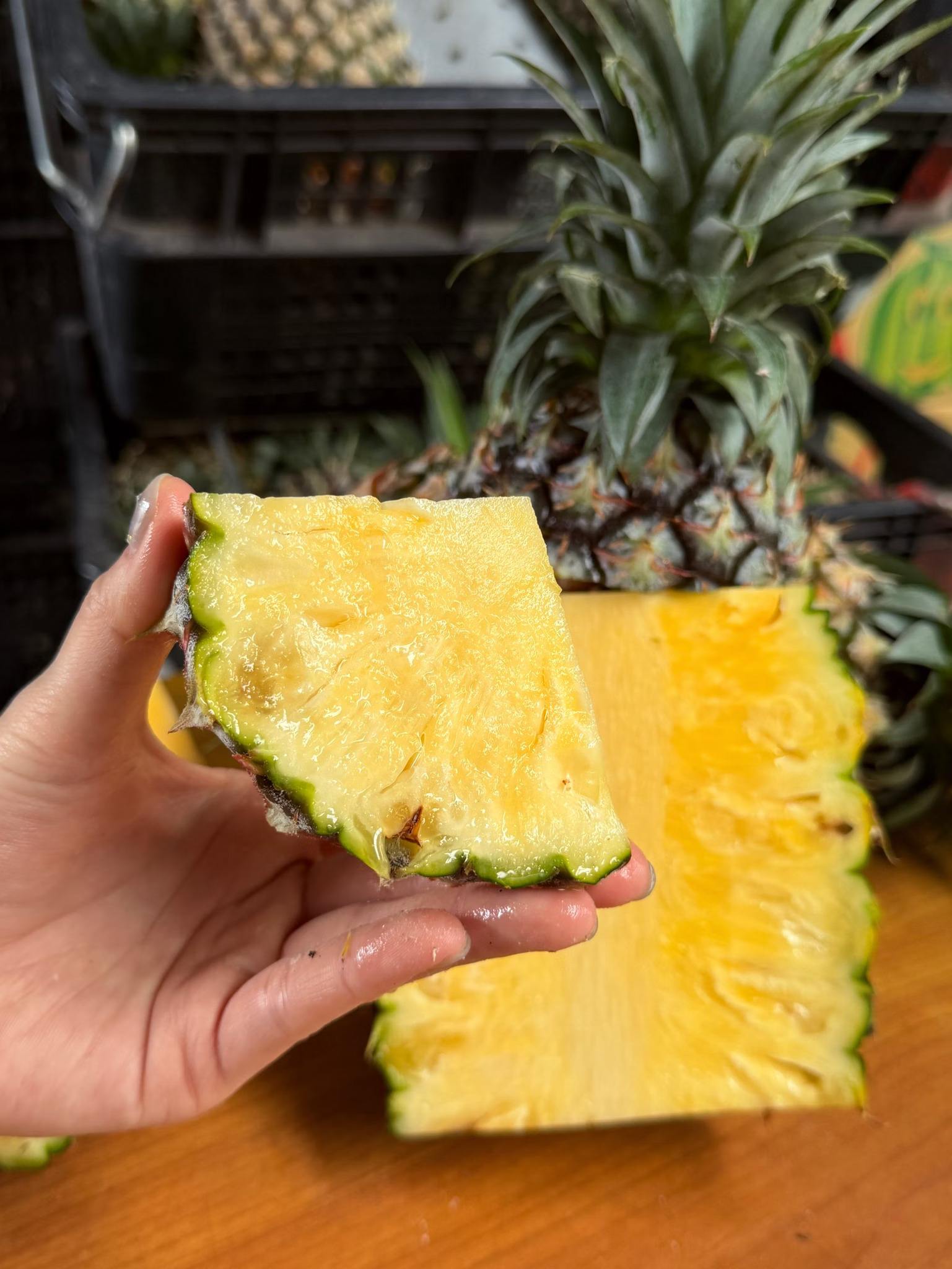 Taiwan Gold Pineapple, , large