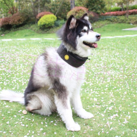 【寵愛生活本舖】中大型犬夏季防水涼感圍脖（含冰袋）素色, , large