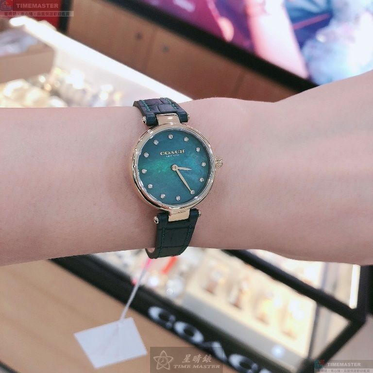 [TIMEMASTER] COACH watch, 24mm, CH00075, , large