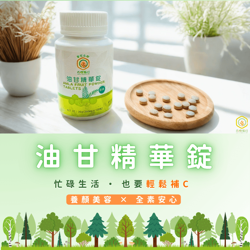 AMLA FRUIT POWDER TABLETS, , large