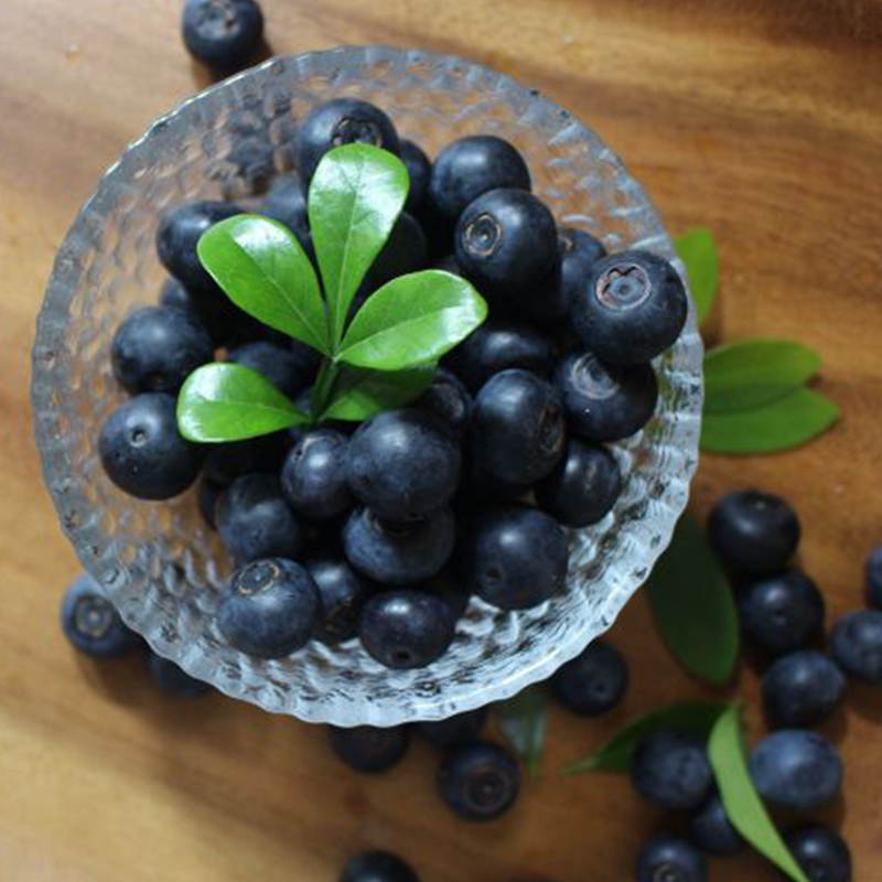 Organic blueberry 170g*12    