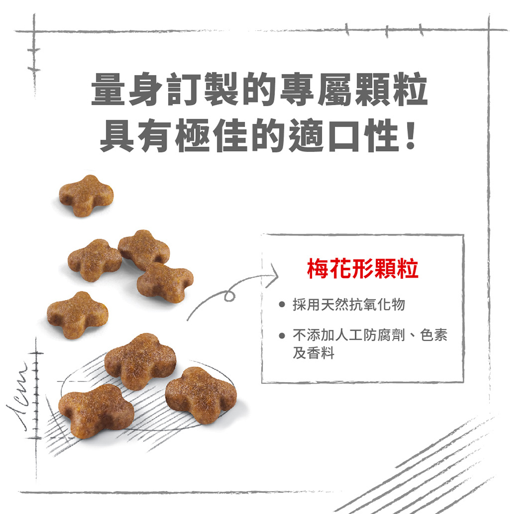 【Royal Canin法國皇家】 幼貓專用乾糧 K36, , large