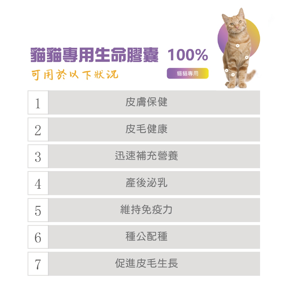 【虎揚】LIFE+ 貓咪專用 生命膠囊 (60粒/盒) 甲魚蛋 鱉丹 爆毛丹 寵物保健, , large