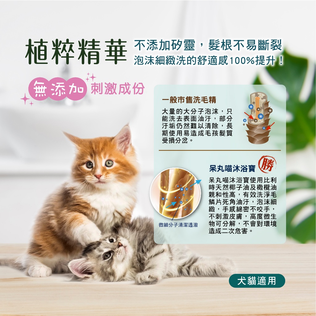 Daiwanmeow Pet Shower Gel, , large