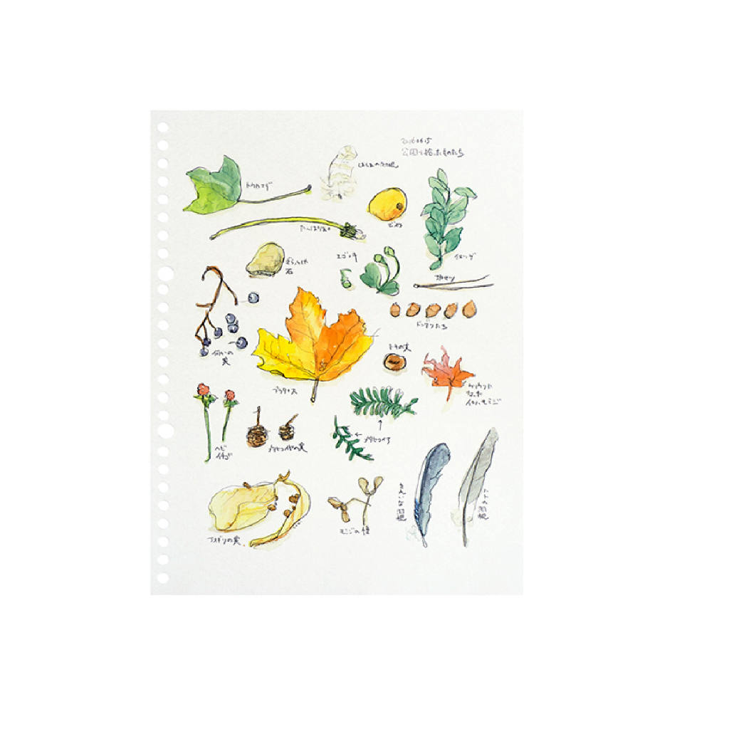 日本maruman 26孔空白畫用紙/ B5(MAR L1235), , large