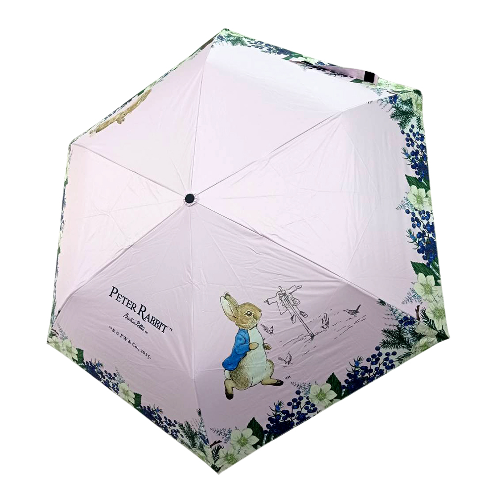 Peter Rabbit, , large