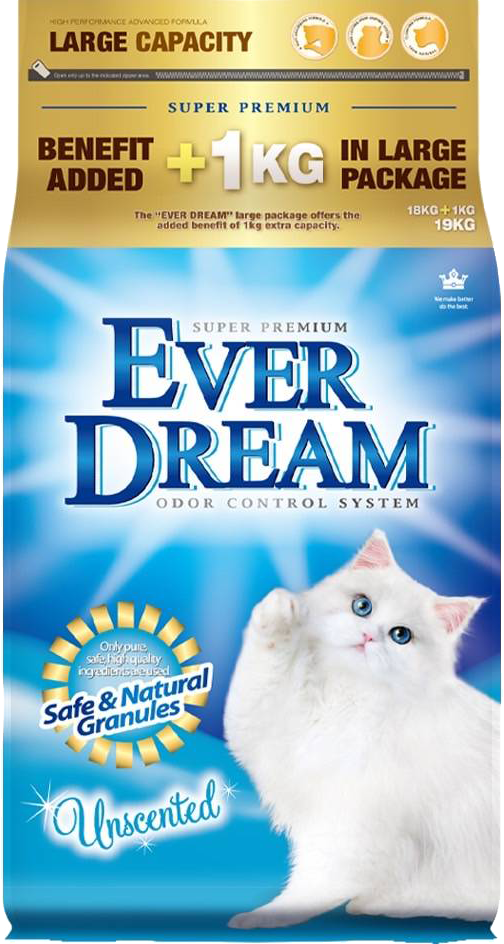 EVER DREAM