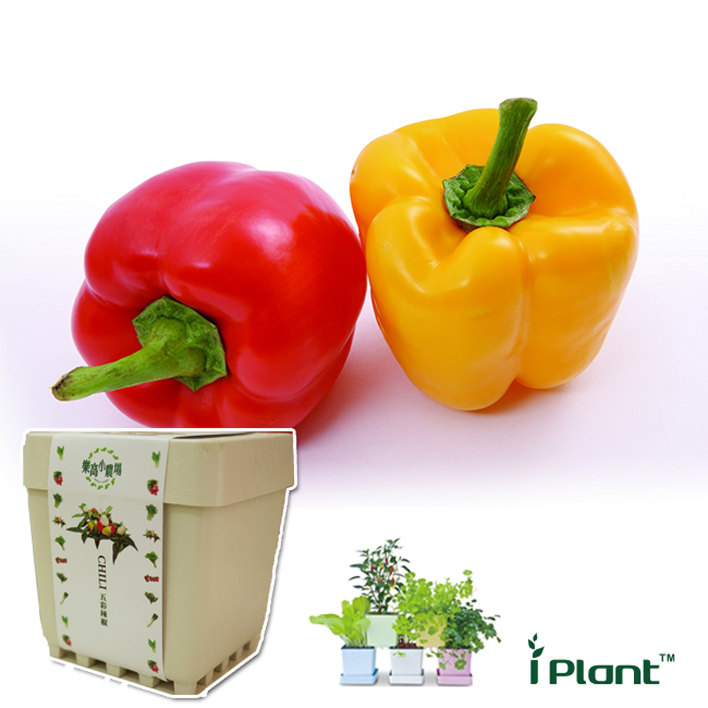 【心安購物】iPlant積木盆栽-彩色甜椒, , large