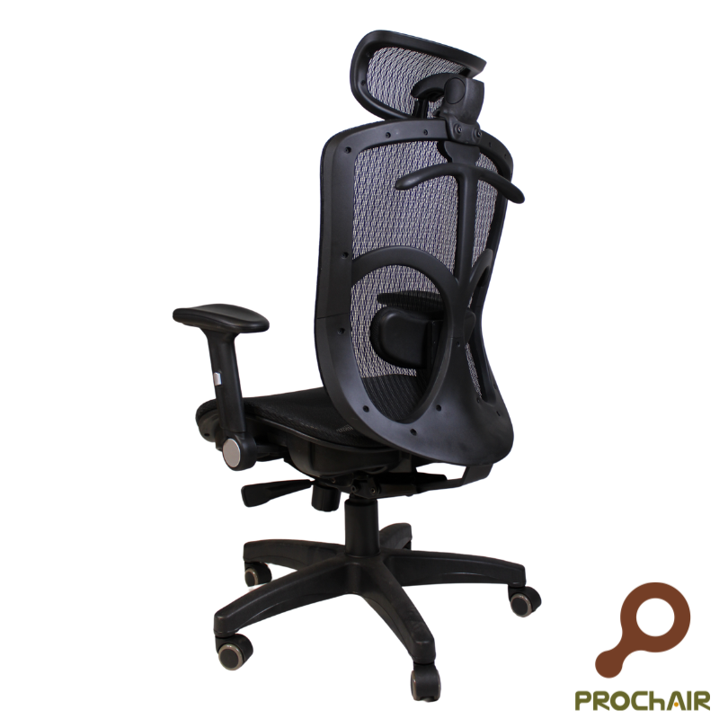 Richard ergonomic chair, , large