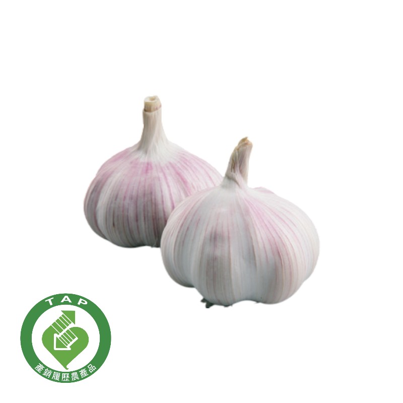 TAP Garlic, , large