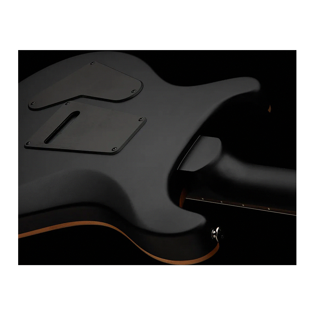 PRS SE CUSTOM 2408 POPLAR CCMB, , large