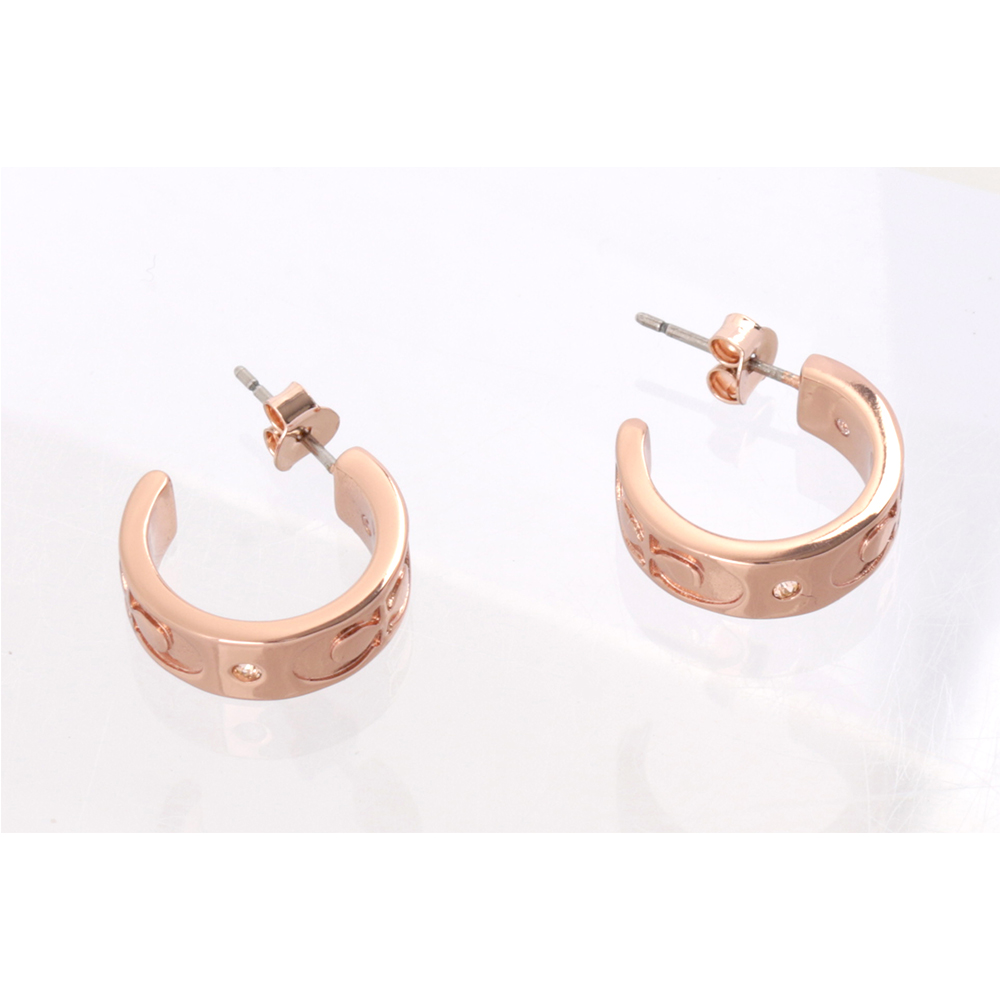 Earrings, , large