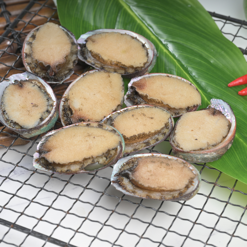 Abalone