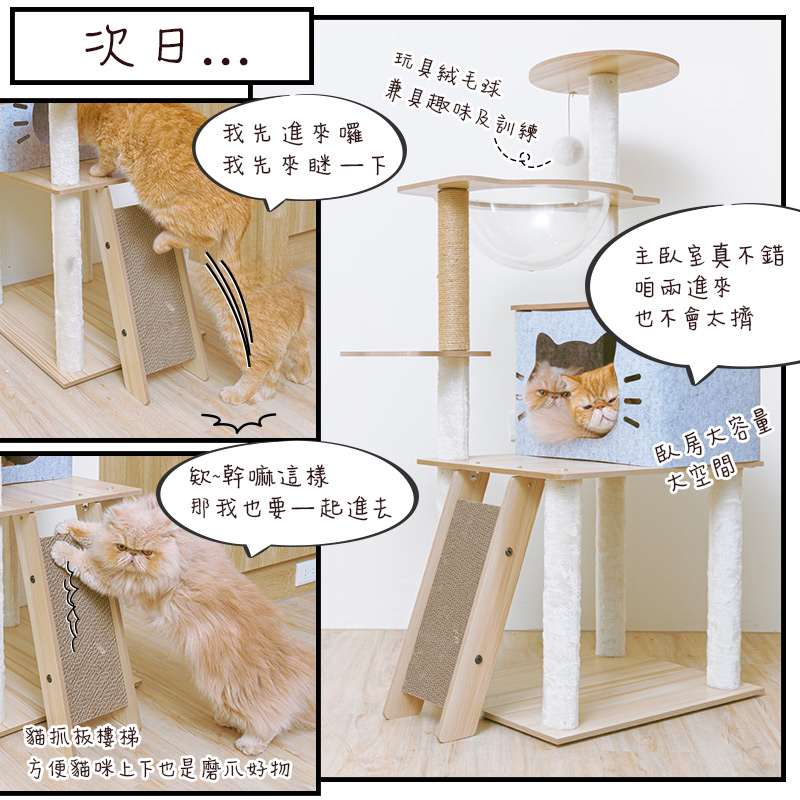 【Y HOUSE】三景二室輕奢雅築貓宅 貓跳台 貓爬架 貓窩 粗麻繩柱 貓抓板 貓宅, , large