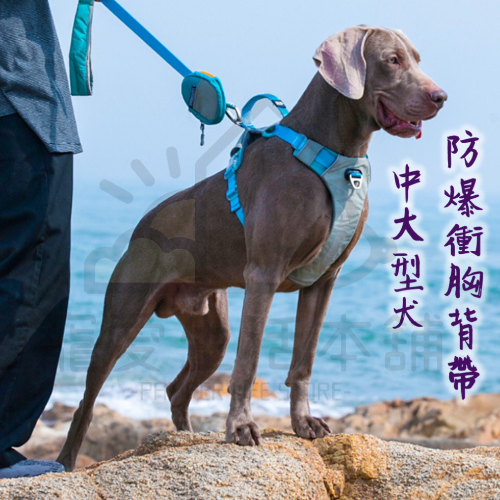 【寵愛生活本舖】中大型犬防爆衝胸背帶 寵物胸背帶 大型犬專用 背心式胸背帶, , large
