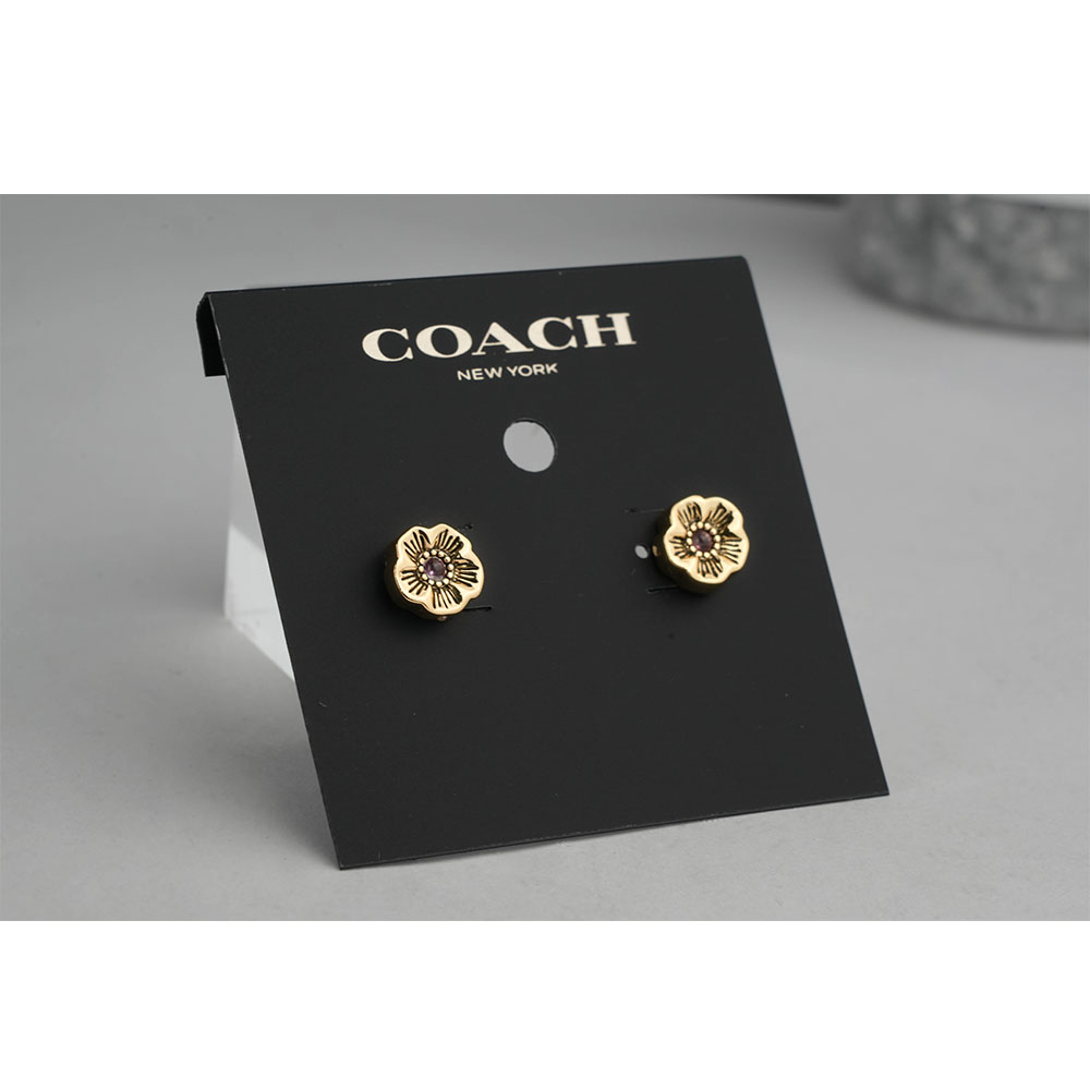 Earrings, , large
